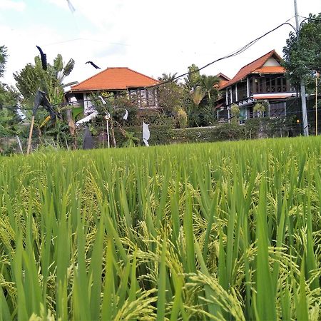 Umah Watu Villas Seminyak Kültér fotó